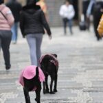 parque-nacional-do-itatiaia-registra-menor-temperatura-do-ano:-9,4oc