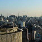 predios-com-vidracas-nas-cidades-ameacam-aves,-aponta-pesquisa