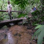 confira-os-principais-cuidados-a-serem-tomados-ao-fazer-trilhas