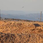 apos-interdicao,-ato-pede-fechamento-de-lixao-perto-de-brasilia