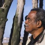 temporada-franca-brasil-se-inspira-em-pensador-edouard-glissant