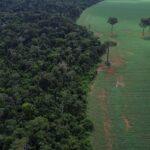 brics:-financiamento-climatico-e-responsabilidade-de-paises-ricos