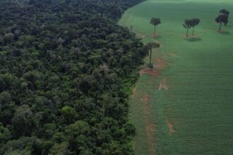 brics:-financiamento-climatico-e-responsabilidade-de-paises-ricos