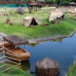 material-de-aves-mortas-em-bioparque-do-rio-sera-analisado-em-campinas