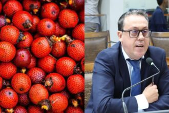 agora-e-lei:-festival-do-buriti,-da-cidade-de-divinopolis,-entra-no-calendario-cultural-do-tocantins