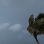 defesa-civil-alerta-para-ventos-fortes-em-sp-nesta-segunda-feira