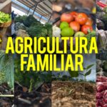 wiston-gomes-destina-emendas-e-investe-no-fortalecimento-dos-pequenos-agricultores-do-tocantins