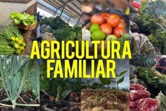 wiston-gomes-destina-emendas-e-investe-no-fortalecimento-dos-pequenos-agricultores-do-tocantins