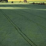 cop30:-agro-quer-se-posicionar-como-parte-da-solucao,-diz-associacao