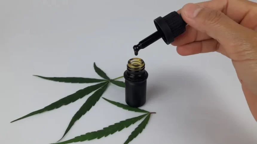 prefeitura-de-sao-paulo-vai-ampliar-indicacao-de-canabidiol-no-sus-para-31-doencas