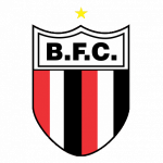 botafogo-sp-2-x-0-vila-nova-–-pantera-freia-tigre-e-deixa-o-z4