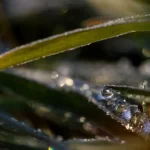 baixas-temperaturas-podem-causar-geadas-no-sul-e-sudeste,-diz-inmet