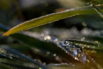 baixas-temperaturas-podem-causar-geadas-no-sul-e-sudeste,-diz-inmet