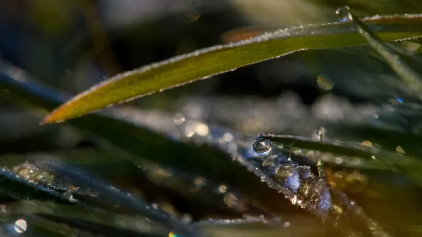 baixas-temperaturas-podem-causar-geadas-no-sul-e-sudeste,-diz-inmet