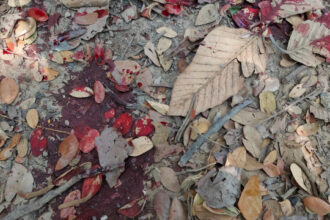 acidente-entre-onibus-e-caminhao-deixa-um-morto-e-11-feridos-em-batatais-(sp)