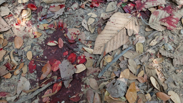 acidente-entre-onibus-e-caminhao-deixa-um-morto-e-11-feridos-em-batatais-(sp)