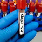 desigualdade-no-acesso-a-creche-aumenta-entre-ricos-e-pobres-no-brasil,-aponta-estudo