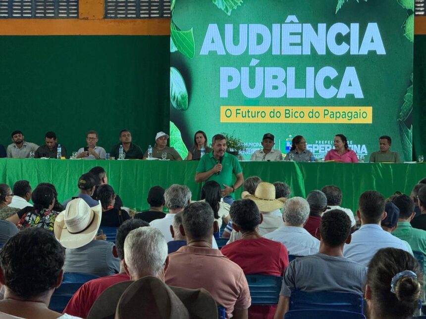 wiston-gomes-participa-de-audiencia-publica-em-esperantina