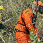 brasil-registra-menor-numero-de-queimadas-da-serie-historica-em-agosto
