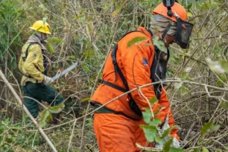 brasil-registra-menor-numero-de-queimadas-da-serie-historica-em-agosto