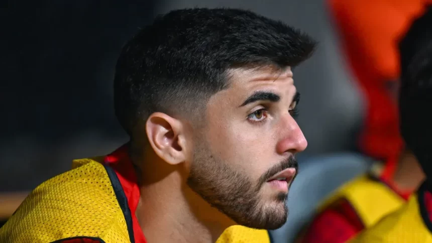 especialista-analisa-sucesso-de-palmeiras-e-flamengo-na-janela