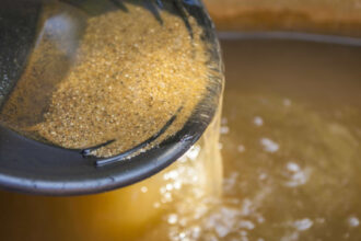 estrategia-de-saude-da-familia-deve-ser-prioridade-dos-governos-no-sus,-dizem-especialistas