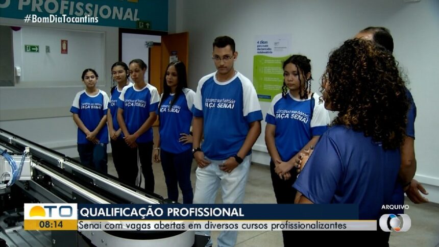 empreendedorismo-sera-tema-de-curso-gratuito-ofertado-pelo-sine-em-palmas-e-luzimangues;-veja-datas