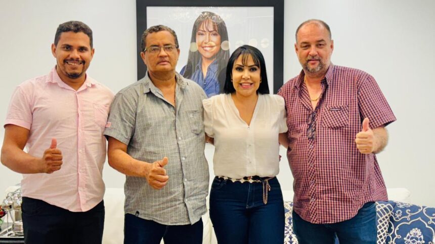 vereadores-de-palmeirante-pedem-apoio-de-janad-valcari-para-pavimentacao-da-to-226