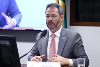 comissao-aprova-medidas-de-protecao-a-abelha-sem-ferrao