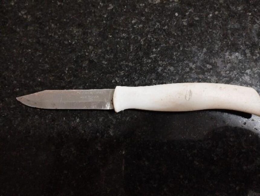 homem-fica-em-estado-grave-apos-ser-esfaqueado-no-torax-por-suspeito-em-surto,-diz-pm