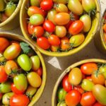 preco-da-cesta-basica-cai-em-22-das-27-capitais-em-setembro.-no-rio,-custa-r$-799