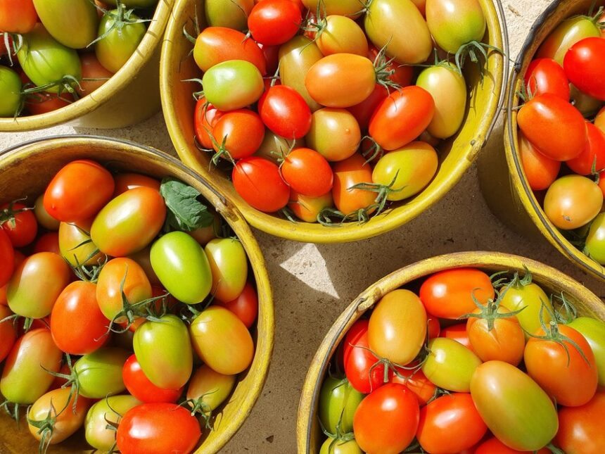 preco-da-cesta-basica-cai-em-22-das-27-capitais-em-setembro.-no-rio,-custa-r$-799