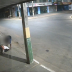 suspeito-de-roubar-e-espancar-ciclista-em-avenida-e-preso-apos-ser-reconhecido-em-imagens-de-cameras-de-seguranca