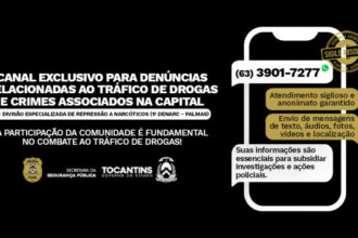 1a-denarc-de-palmas-amplia-combate-ao-trafico-de-drogas-com-canal-sigiloso-para-denuncias-na-capital