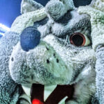 paysandu:-10-pontos-de-sair-do-z-4-e-chance-de-queda-em-98,8%