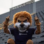 apos-50-anos,-remo-e-athletico-pr-se-reencontram-no-baenao