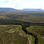 governo-do-tocantins-estabelece-procedimentos-para-o-cadastro-ambiental-rural-e-o-programa-de-regularizacao-ambiental