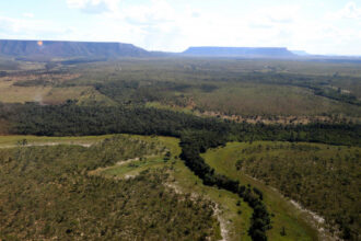 governo-do-tocantins-estabelece-procedimentos-para-o-cadastro-ambiental-rural-e-o-programa-de-regularizacao-ambiental