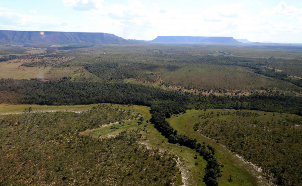 governo-do-tocantins-estabelece-procedimentos-para-o-cadastro-ambiental-rural-e-o-programa-de-regularizacao-ambiental