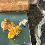 divisao-antidrogas-da-policia-civil-desarticula-ponto-de-venda-de-drogas-e-prende-homem-por-trafico-em-palmas