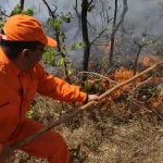 area-queimada-da-amazonia-em-2024-foi-maior-do-que-totalidade-da-belgica