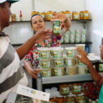 governo-do-tocantins-e-instituicoes-federais-realizam-oficinas-sobre-produtos-naturais-e-ervas-medicinais-do-cerrado-tocantinense