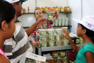 governo-do-tocantins-e-instituicoes-federais-realizam-oficinas-sobre-produtos-naturais-e-ervas-medicinais-do-cerrado-tocantinense