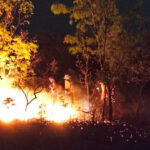 operacao-no-canion:-acao-integrada-salva-atrativo-turistico-e-evita-danos-a-fauna-e-flora-local