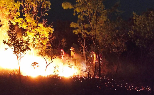 operacao-no-canion:-acao-integrada-salva-atrativo-turistico-e-evita-danos-a-fauna-e-flora-local