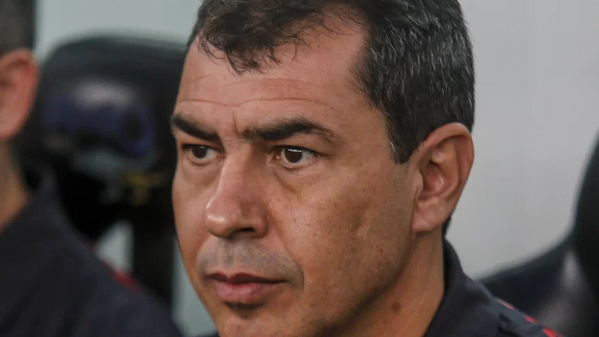 goias-confirma-o-tecnico-fabio-carille-para-o-lugar-de-vagner-mancini