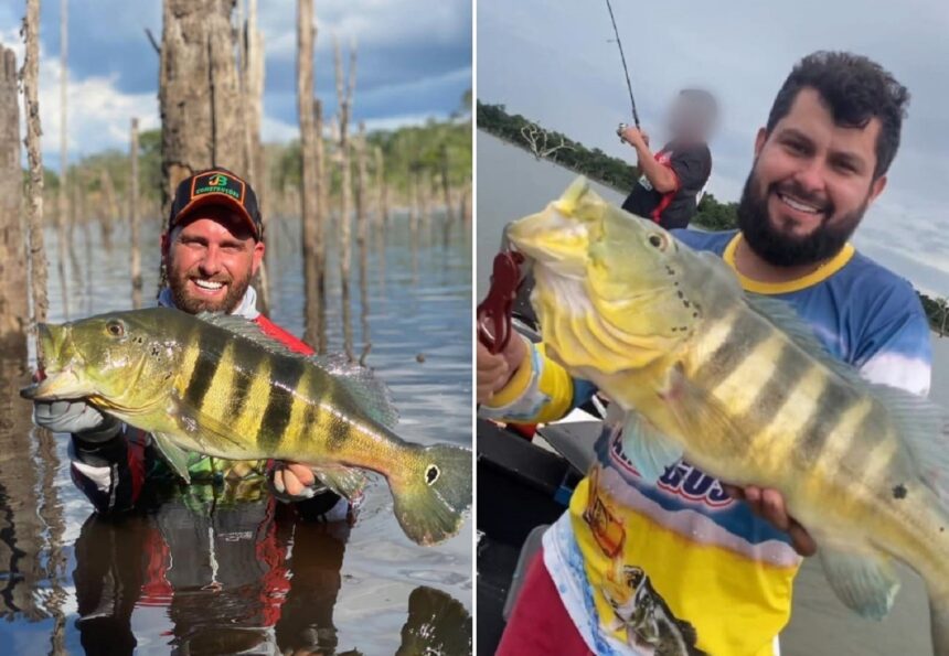 motor-de-barco-pode-ter-atraido-raio-que-matou-amigos-durante-tempestade-no-rio-tocantins,-diz-bombeiro