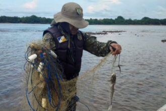 naturatins-intensifica-fiscalizacao-ambiental-com-foco-no-combate-a-pesca-predatoria-no-estado