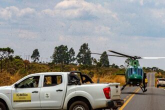chuva-ajudou-no-combate-a-incendios-na-chapada-dos-veadeiros