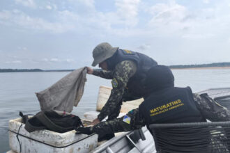naturatins-intensifica-operacao-de-fiscalizacao-ambiental-no-tocantins
